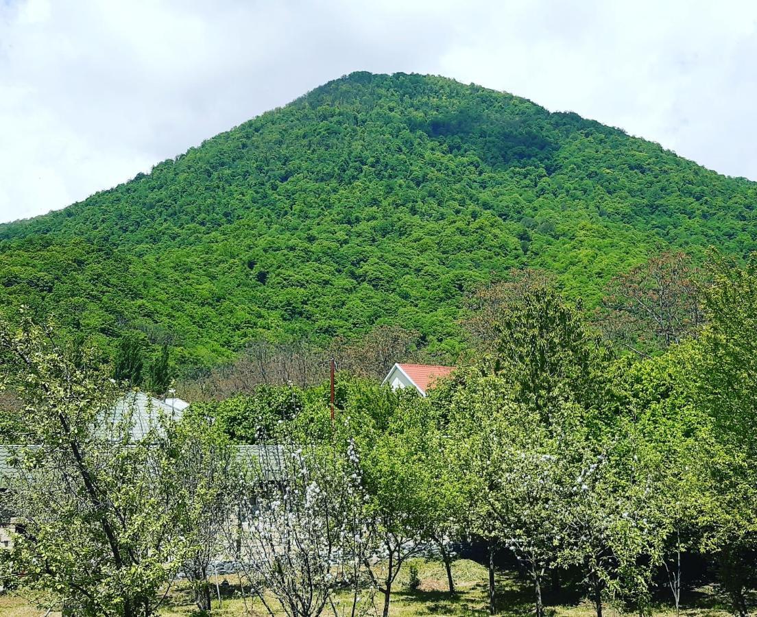 Gabala Sweet Home Exterior photo
